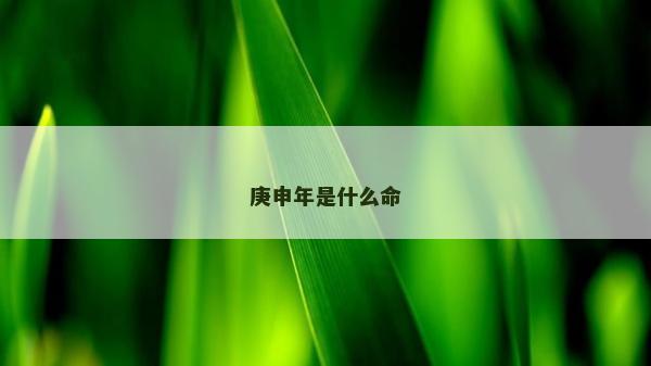庚申年是什么命