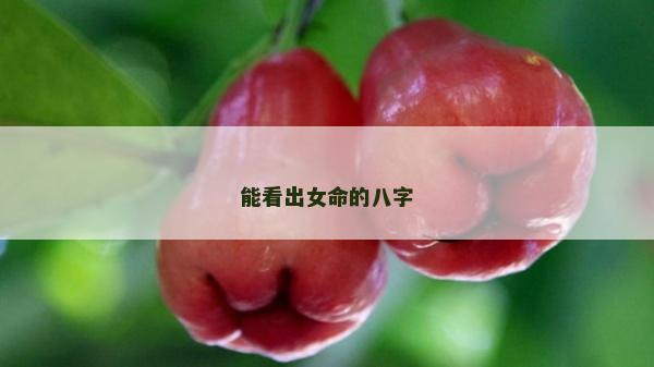 能看出女命的八字