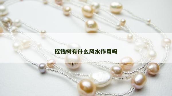 搖錢樹有什么風水作用嗎