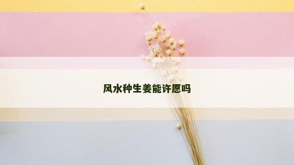 風水種生姜能許愿嗎