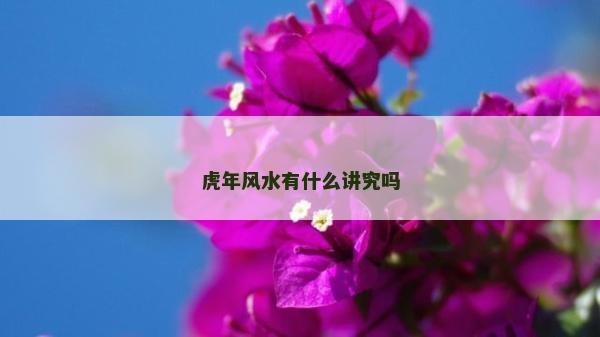 虎年風水有什么講究嗎
