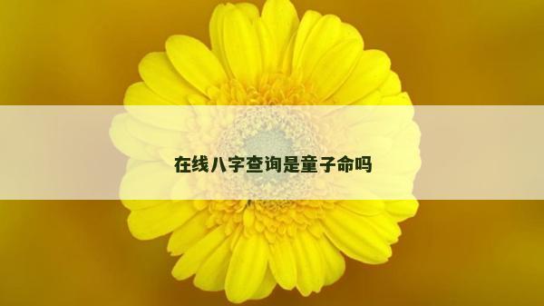 在線八字查詢是童子命嗎