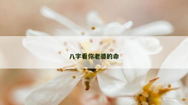 八字看你老婆的命