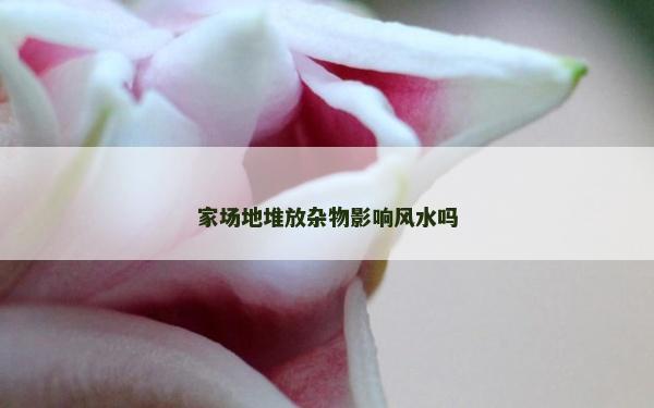 家場地堆放雜物影響風水嗎