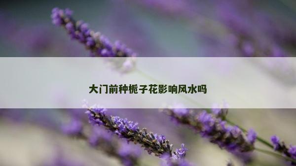 大門前種梔子花影響風(fēng)水嗎