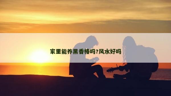 家里能養黑香椿嗎?風水好嗎