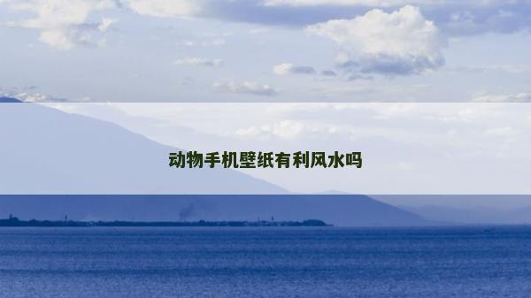 動物手機壁紙有利風水嗎
