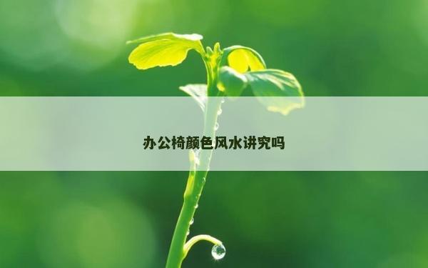 辦公椅顏色風水講究嗎