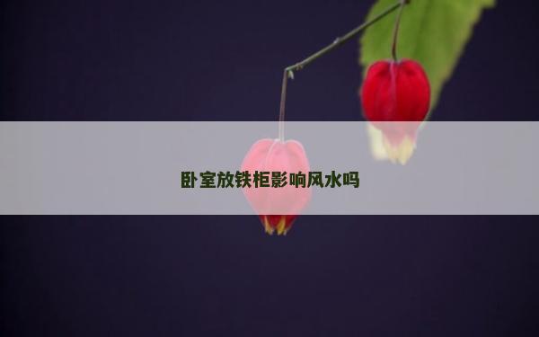 臥室放鐵柜影響風水嗎