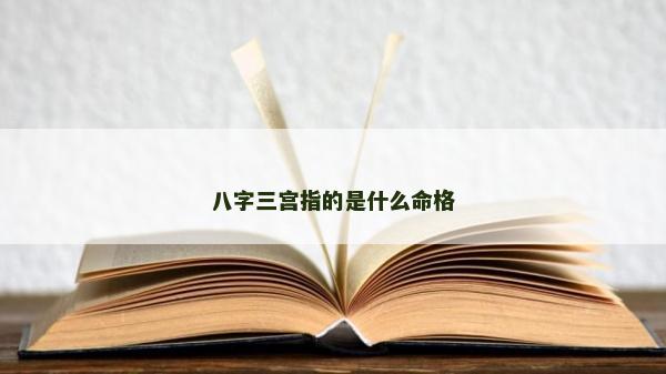八字三宮指的是什么命格