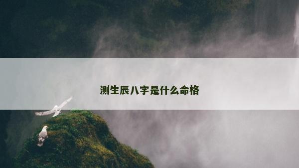 測生辰八字是什么命格