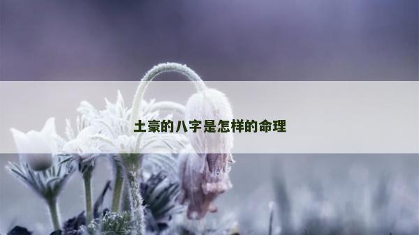 土豪的八字是怎樣的命理