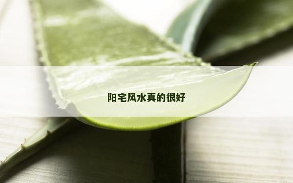 陽宅風水真的很好
