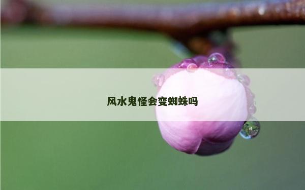 風(fēng)水鬼怪會(huì)變蜘蛛嗎