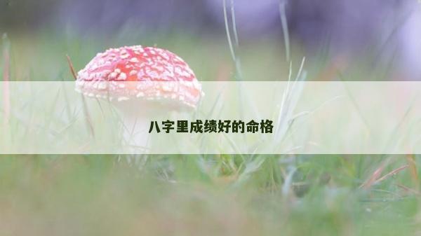 八字里成績(jī)好的命格 八字里成績(jī)好的命格
