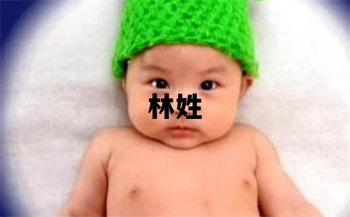林姓有新意的男寶寶名字