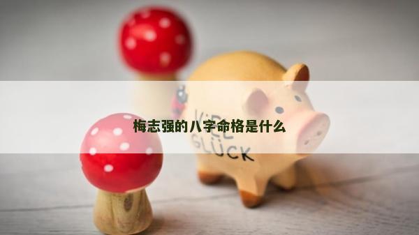 梅志強的八字命格是什么