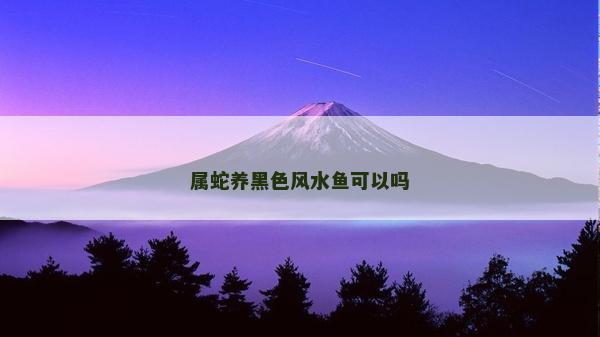屬蛇養(yǎng)黑色風(fēng)水魚可以嗎