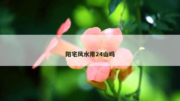 陽(yáng)宅風(fēng)水用24山嗎