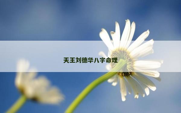天王劉德華八字命理