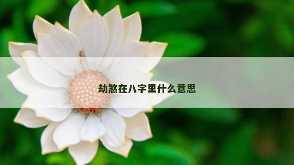 劫煞在八字里什么意思