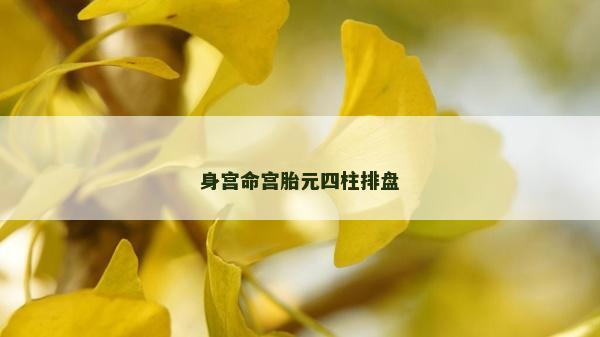 身宮命宮胎元四柱排盤