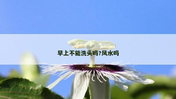 早上不能洗頭嗎?風水嗎
