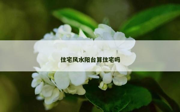 住宅風水陽臺算住宅嗎