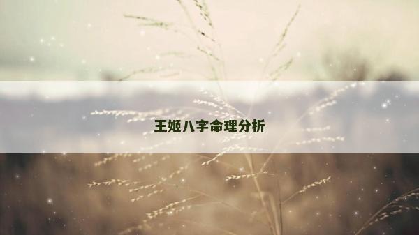 王姬八字命理分析