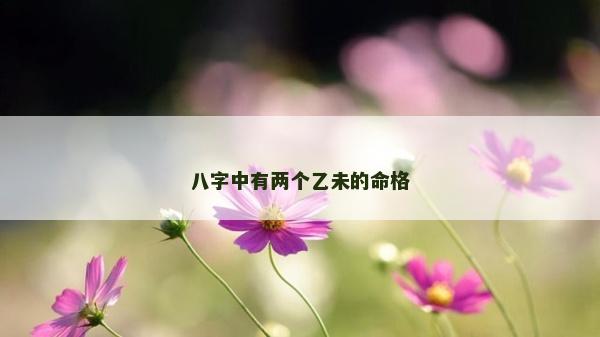 八字中有兩個乙未的命格