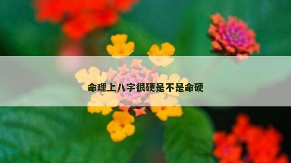 命理上八字很硬是不是命硬