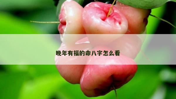 晚年有福的命八字怎么看