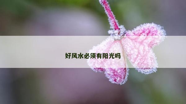好風水必須有陽光嗎