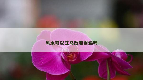 風水可以立馬改變財運嗎