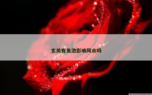 玄關有魚池影響風水嗎