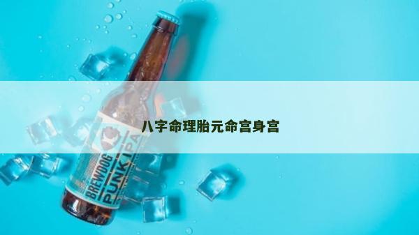 八字命理胎元命宮身宮