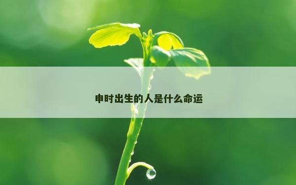 申時出生的人是什么命運