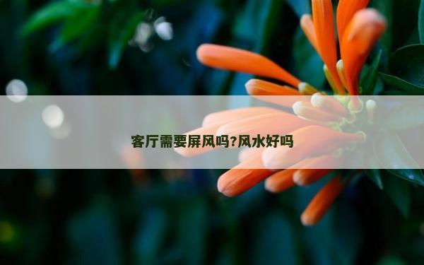 客廳需要屏風嗎?風水好嗎