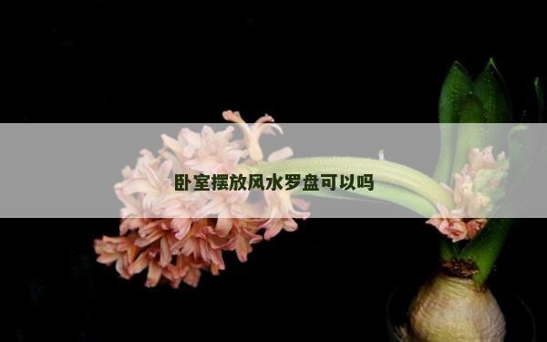 臥室擺放風水羅盤可以嗎