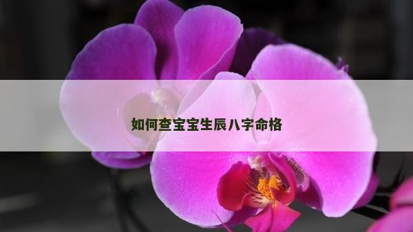 如何查寶寶生辰八字命格 如何查寶寶生辰八字命格