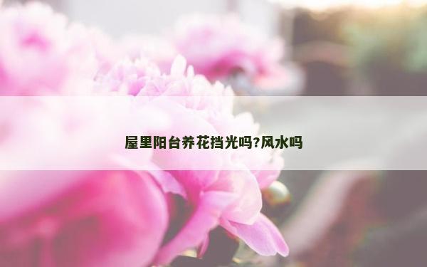 屋里陽臺養(yǎng)花擋光嗎?風水嗎
