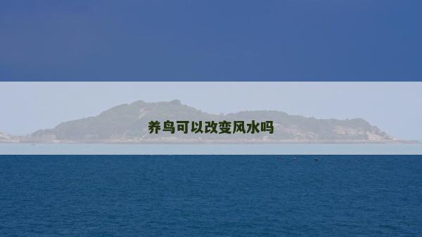 養鳥可以改變風水嗎
