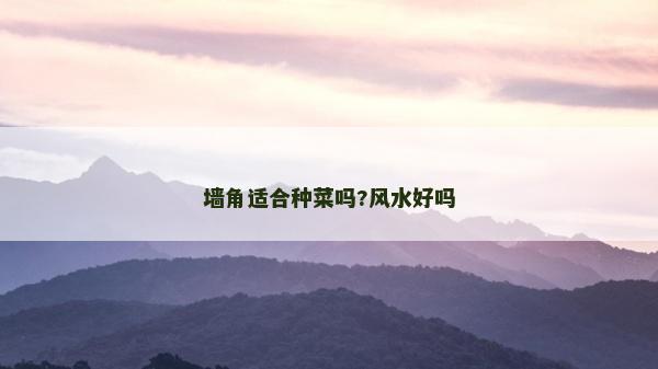 墻角適合種菜嗎?風水好嗎
