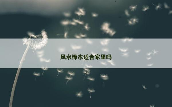 風水橡木適合家里嗎