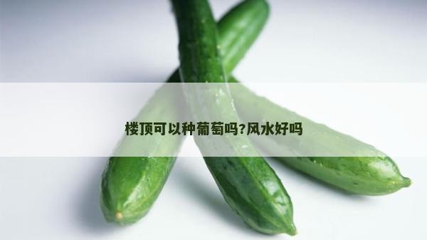 樓頂可以種葡萄嗎?風水好嗎