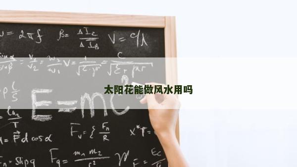 太陽花能做風水用嗎