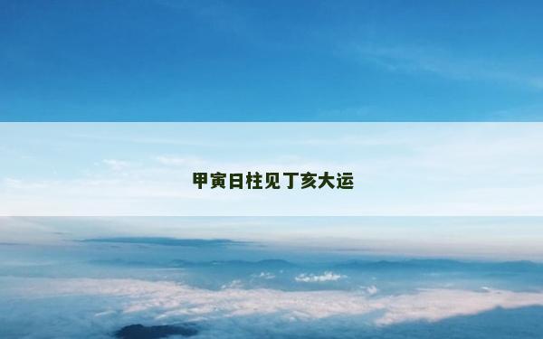 甲寅日柱見丁亥大運