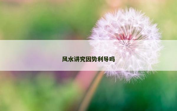 風水講究因勢利導嗎 風水講究因勢利導嗎