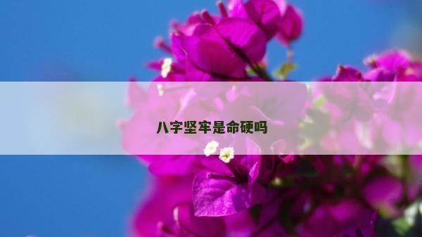 八字堅牢是命硬嗎
