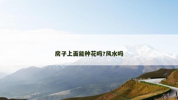 房子上面能種花嗎?風水嗎